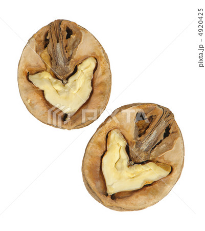 Split walnut Split walnut 4920425