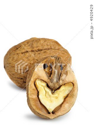 Split walnut 4920429