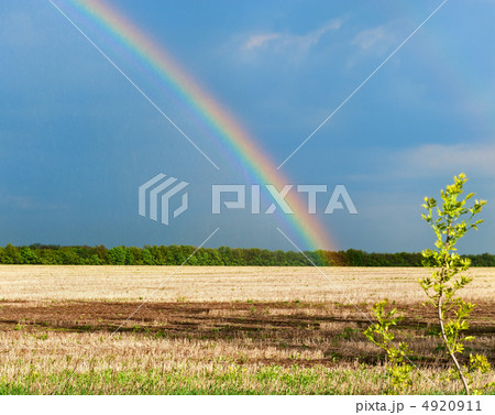 Rainbow Rainbow 4920911