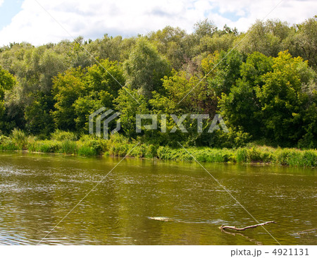 Picturesque forest and the river Picturesque forest and the river 4921131