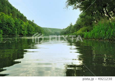 Picturesque forest and the river Picturesque forest and the river 4921230