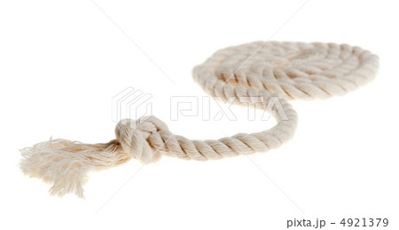 Cord with knot. 4921379