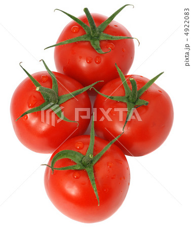 set tomato 4922083