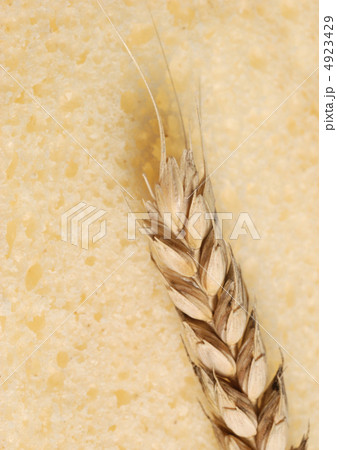 Wheat and texture bread 4923429