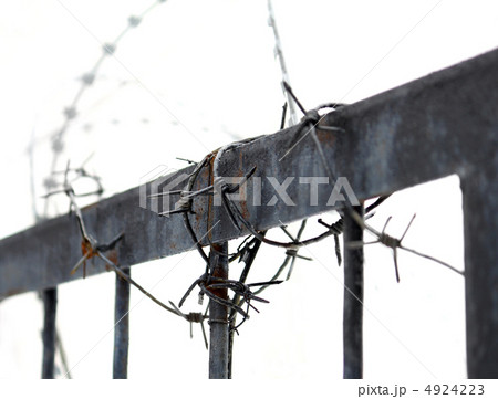 Barbed wire 4924223