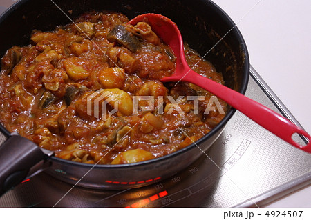 鶏肉とじゃがいものトマト煮込み 4924507