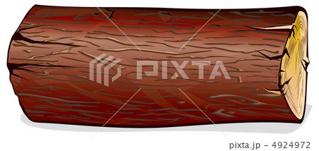 Wood Log 4924972