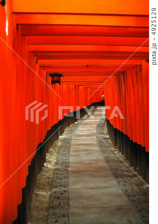 伏見稲荷大社の鳥居の列 伏見稲荷大社の鳥居の列 4925129