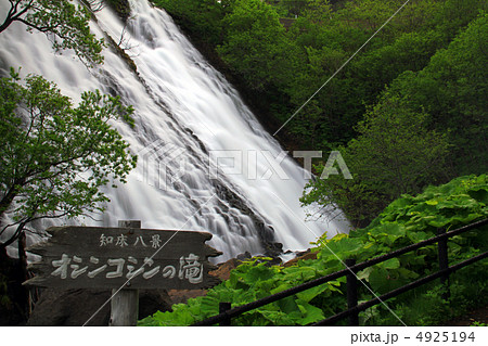 オシンコシンの滝  4925194