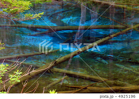 神の子池 4925196