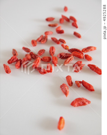 クコの実 4925288