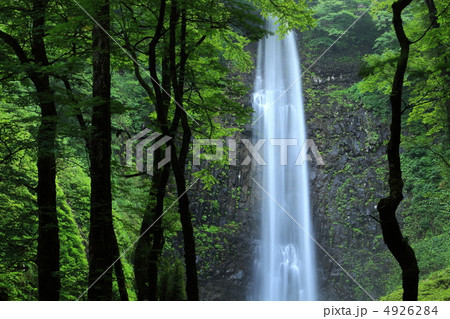 玉簾の滝 4926284