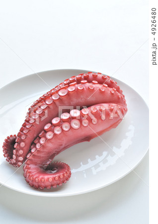 蛸の足 4926480