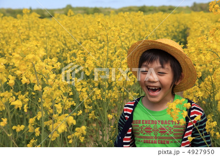 菜の花畑の男の子 菜の花畑の男の子 4927950