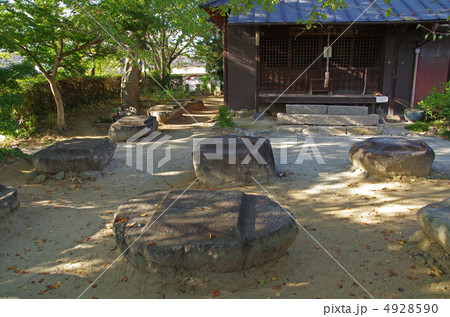 本薬師寺跡の礎石（奈良県橿原市） 4928590