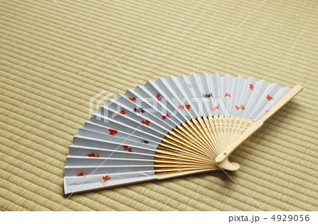 扇子　畳　金魚 4929056
