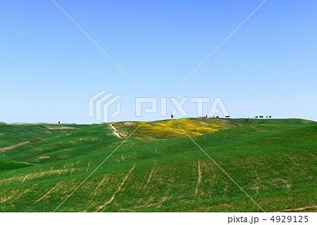 ヴァル・ドルチャ ヴァル・ドルチャ 4929125