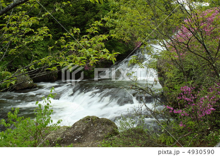 新緑の竜頭の滝 4930590