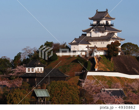春の日の掛川城 春の日の掛川城 4930862