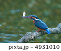 魚をくわえたカワセミ 4931010