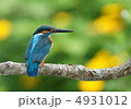 花とカワセミ 4931012