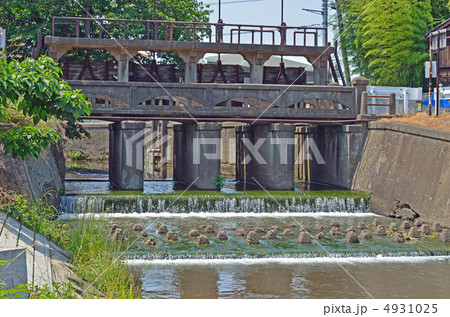 川越散歩・新河岸川　田谷堰 4931025