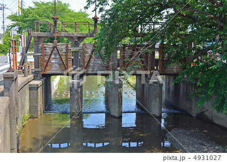 川越散歩・新河岸川　田谷堰 4931027