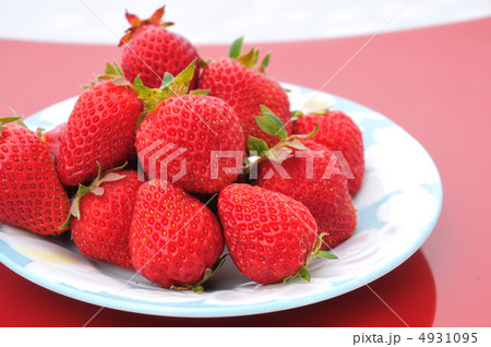 無農薬栽培いちご 無農薬栽培いちご 4931095
