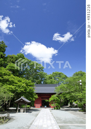 妙本寺の新緑 4931216