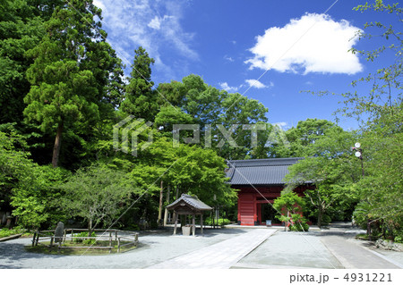 妙本寺の新緑 4931221