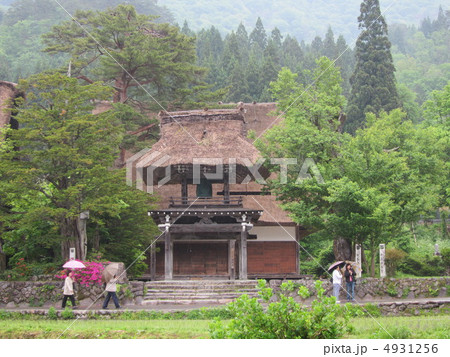 白川郷　明善寺　茅葺の鐘楼門 4931256