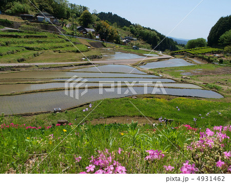 岐阜・上代田棚田 4931462