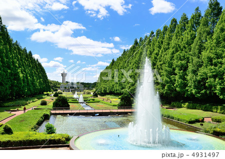 相模原公園 4931497