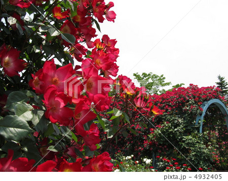 おとぎの森公園 4932405