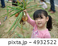 玉ねぎ収穫 4932522