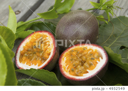 南房総のパッションフルーツ 南房総のパッションフルーツ 4932549
