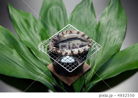 房州産黒鮑 4932550