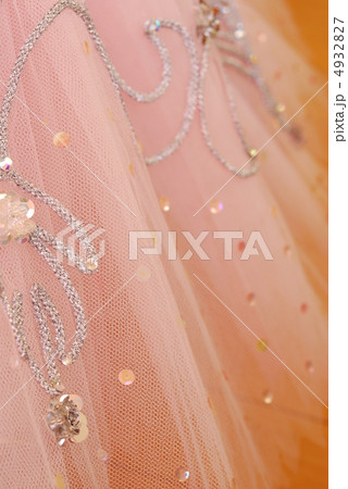 チュチュ 4932827