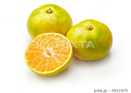 みかん みかん 4932970