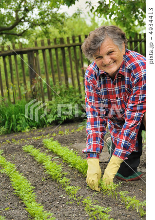Senior woman gardening 4934413