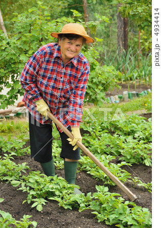 Senior woman gardening 4934414