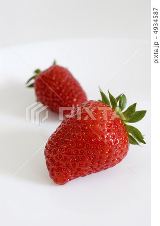 イチゴ イチゴ 4934587