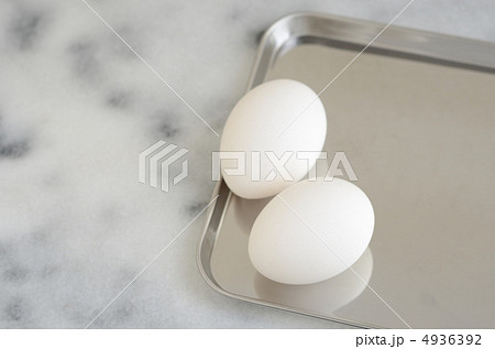 卵 4936392