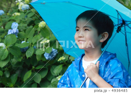 梅雨 雨季 雨 男の子 子供 小学生 紫陽花 アジサイ レインコート 雨合羽 の写真素材