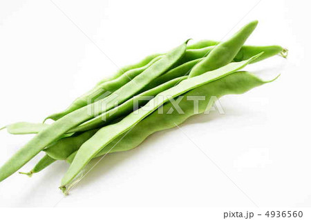 モロッコインゲン 4936560