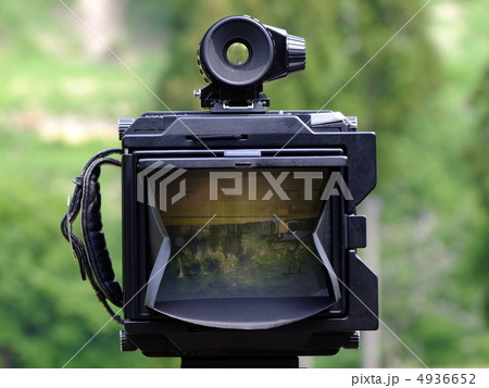 シノゴのピントグラスの写真素材