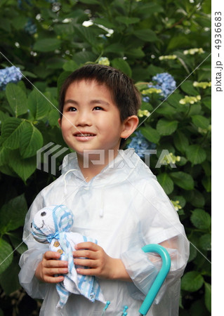 梅雨 雨季 雨 (男の子 子供 小学生 紫陽花 アジサイ てるてるぼうず) 4936683