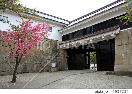 八重桜と鶴ヶ城の鉄門 八重桜と鶴ヶ城の鉄門 4937234