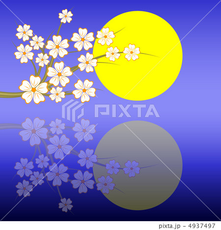 桜. 夜. 4937497