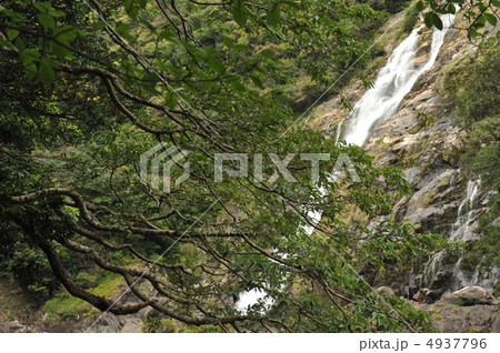 厳かな雰囲気 厳かな雰囲気 4937796